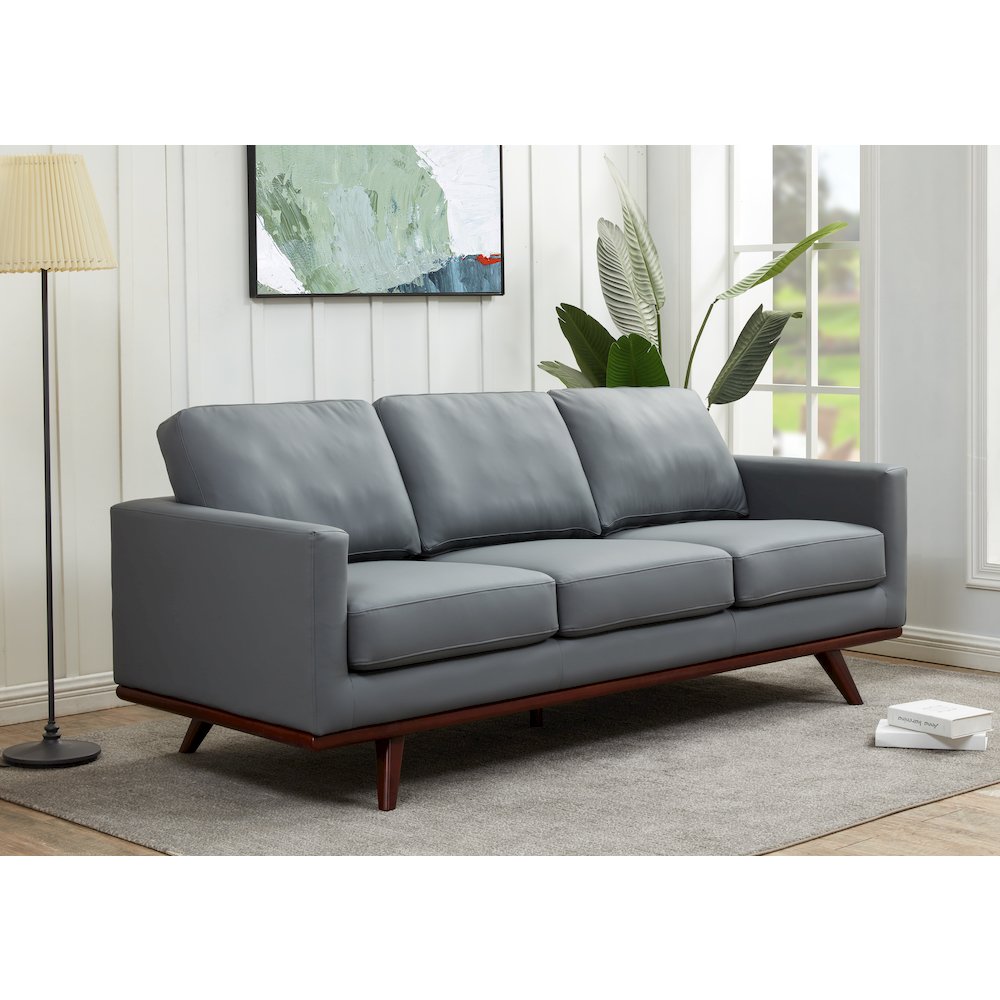 Chester Modern Leather Sofa With Birch Wood Base. Picture 8