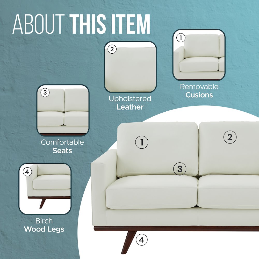 Chester Modern Leather Loveseat With Birch Wood Base. Picture 12