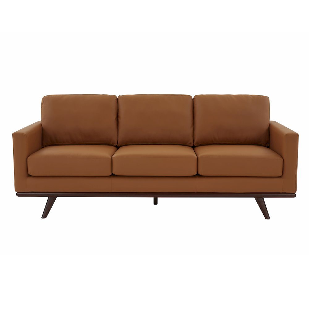 Chester Modern Leather Sofa With Birch Wood Base. Picture 9