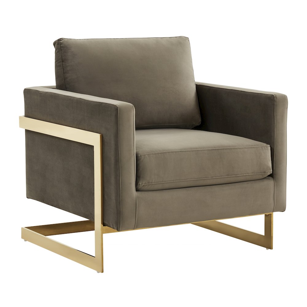 Lincoln Velvet Accent Armchair With Gold Frame. Picture 1