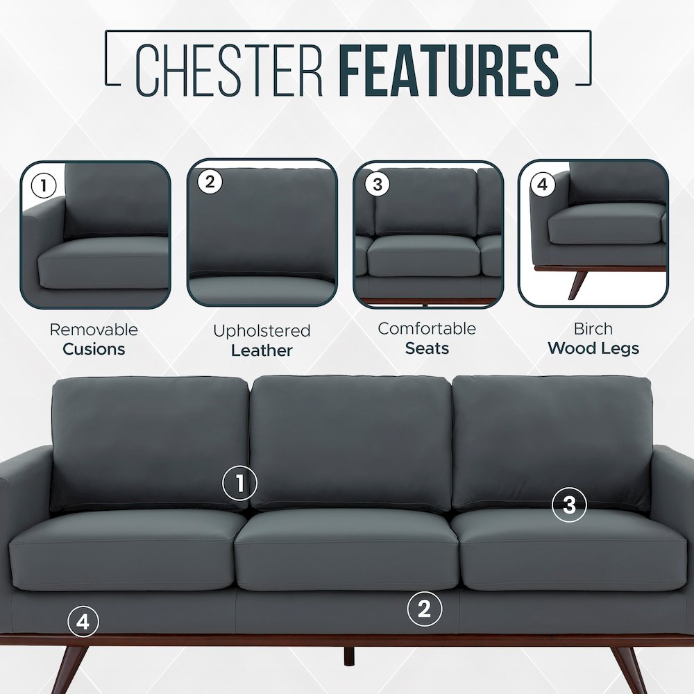 Chester Modern Leather Sofa With Birch Wood Base. Picture 6
