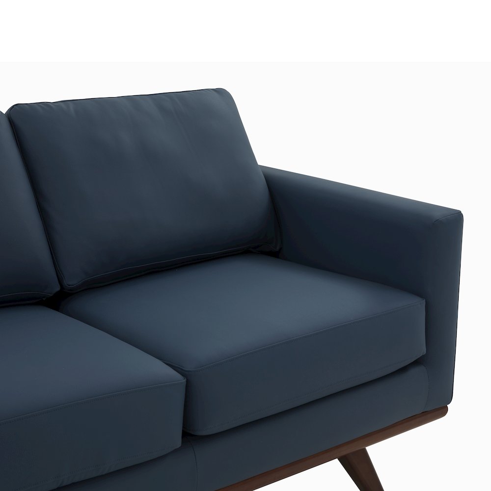 Chester Modern Leather Sofa With Birch Wood Base. Picture 11