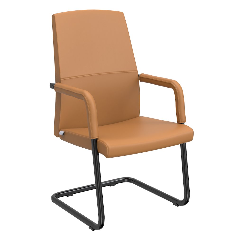 Evander Office Guest Chair in Acorn Brown Leather. Picture 24