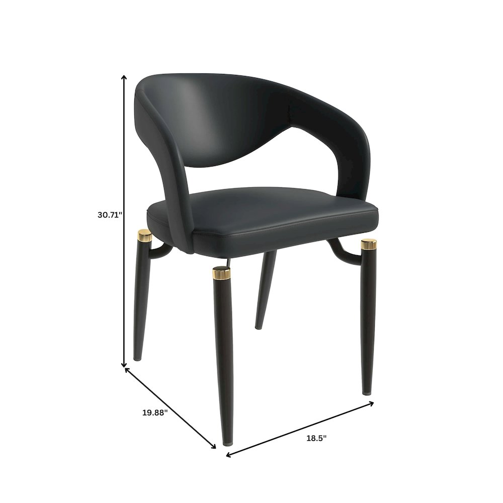 Entice Collection Modern Dining Chair Set of 2 in Charcoal Black. Picture 1
