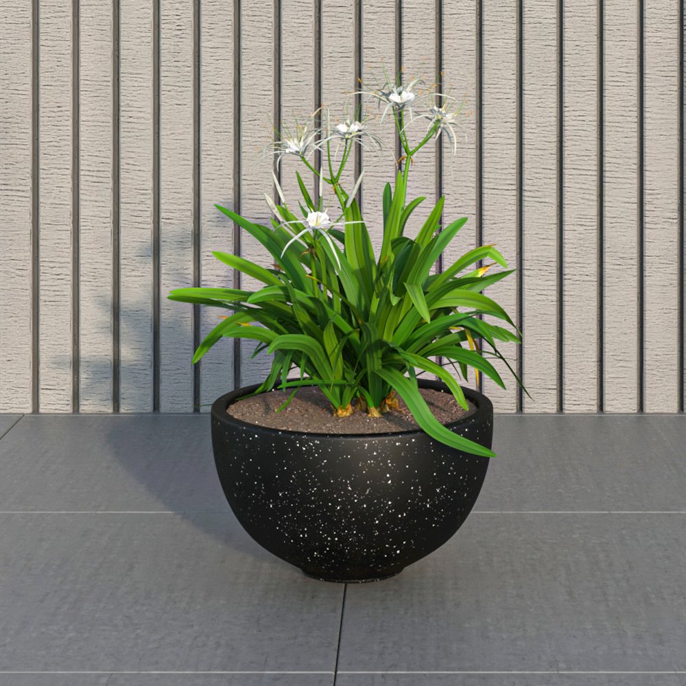 Iris Fiberstone Planter in Black 7 Dia. Picture 7