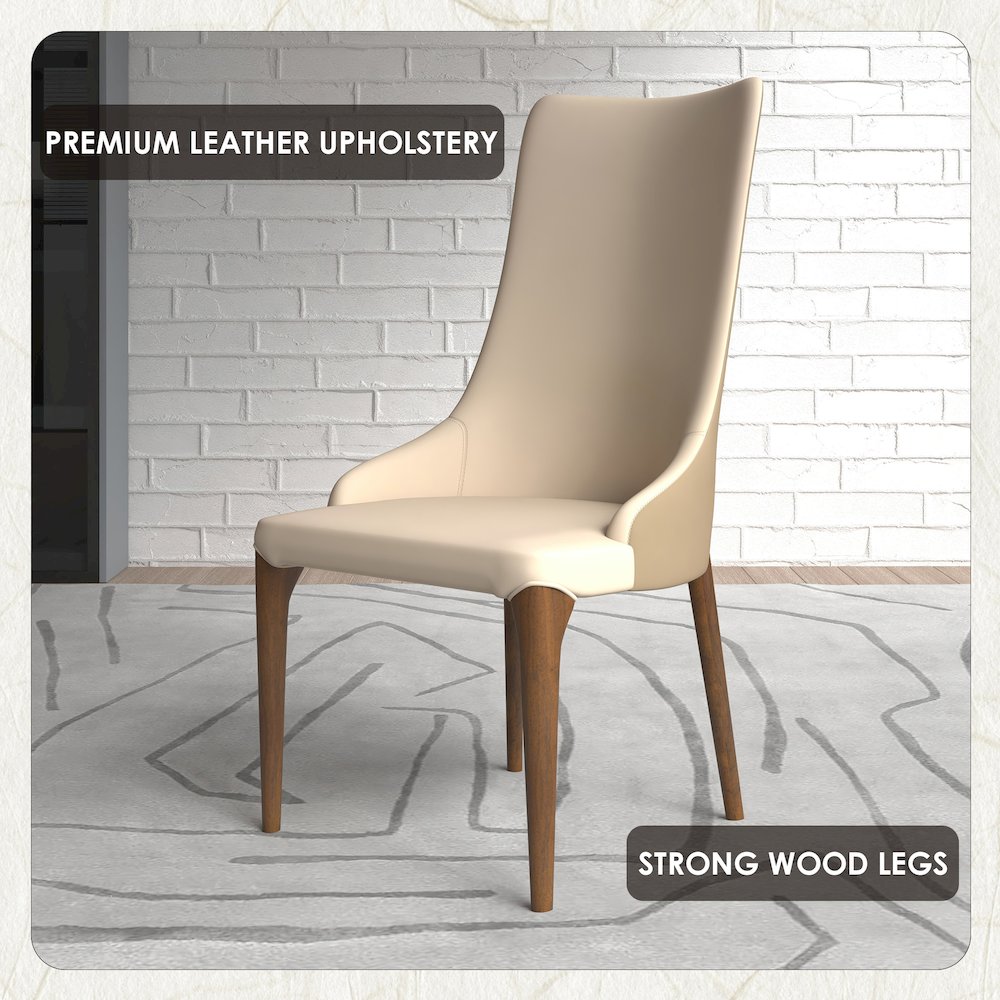 Elm Collection Modern Wooden Dining Chair In Toupe. Picture 16