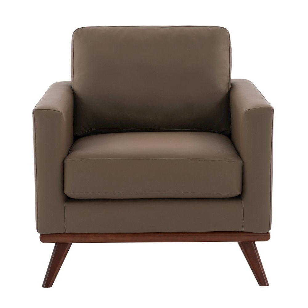 Chester Modern Faux Leather Accent Arm Chair in Taupe Leather. Picture 9