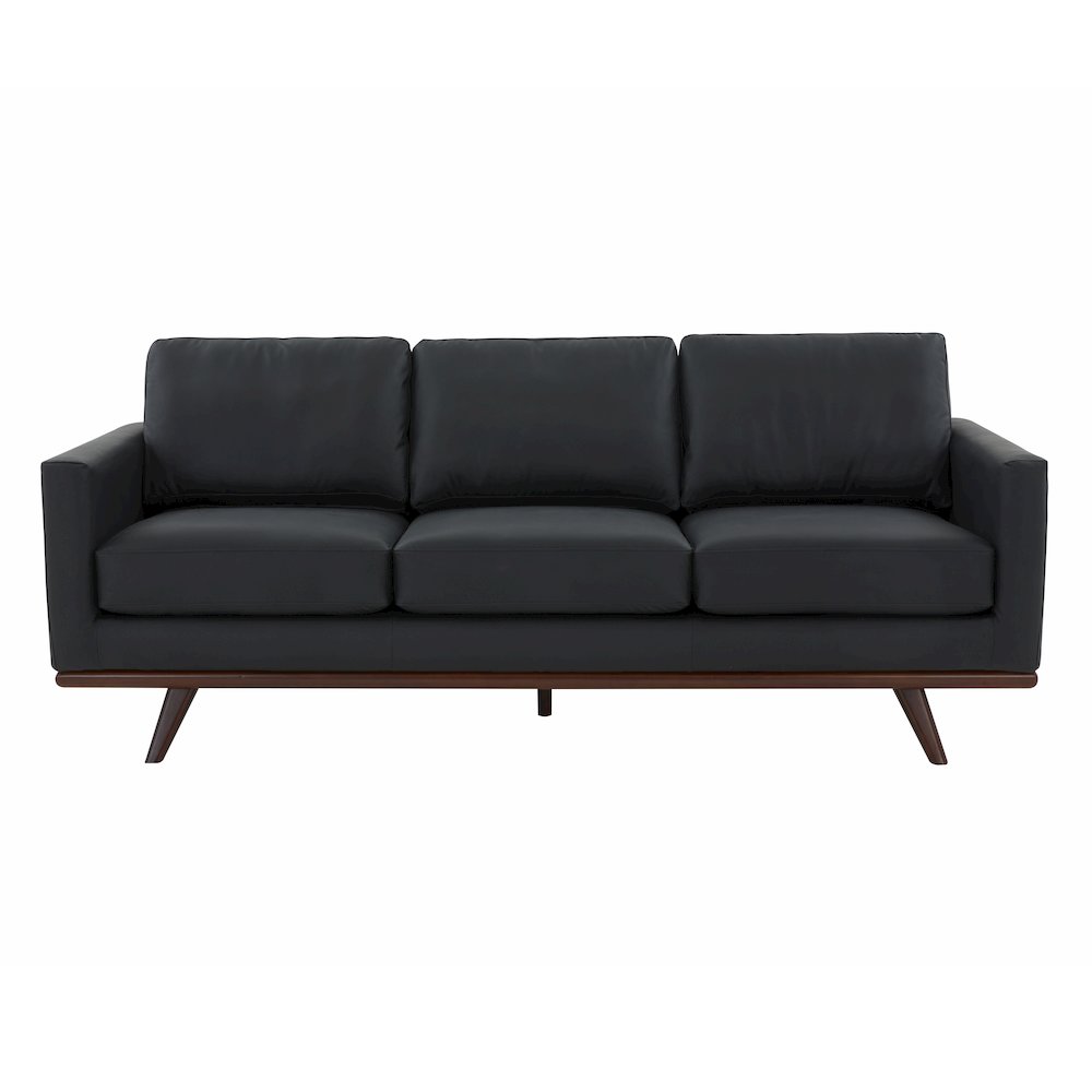 Chester Modern Leather Sofa With Birch Wood Base. Picture 8