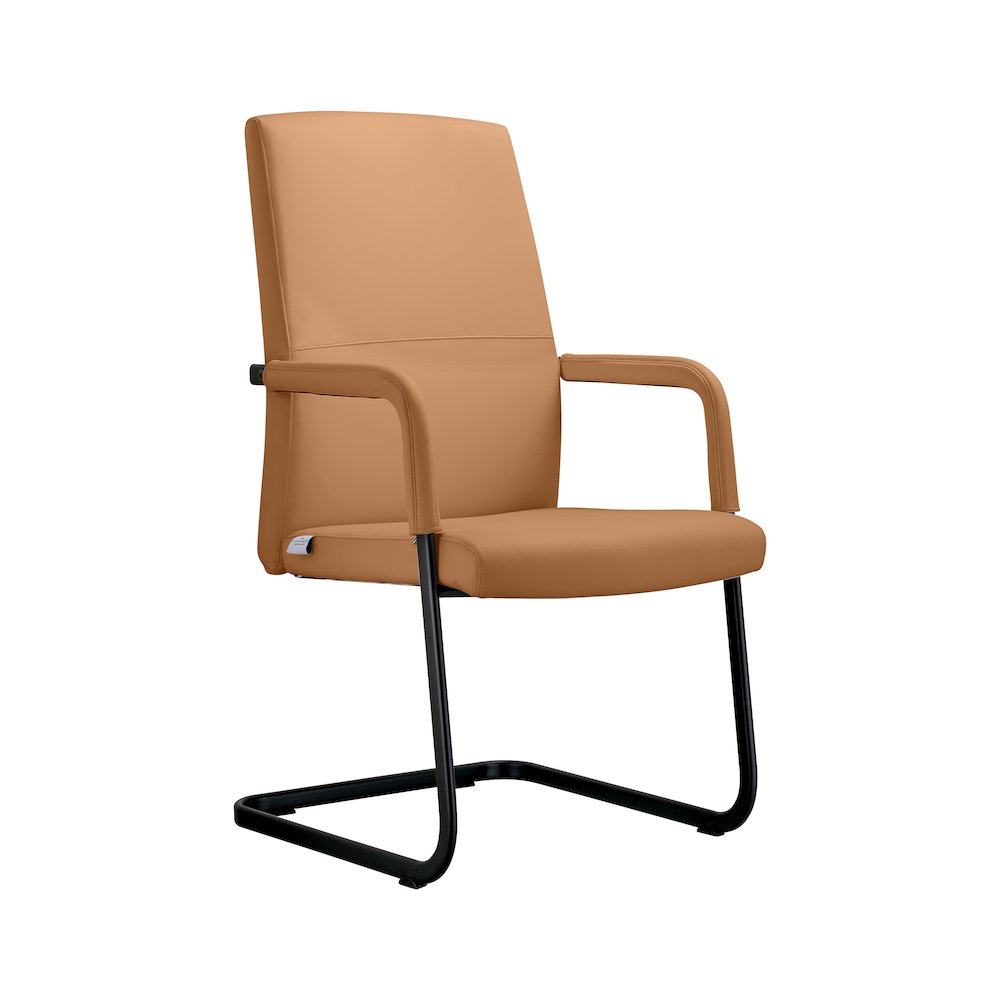 Evander Office Guest Chair in Acorn Brown Leather. Picture 1