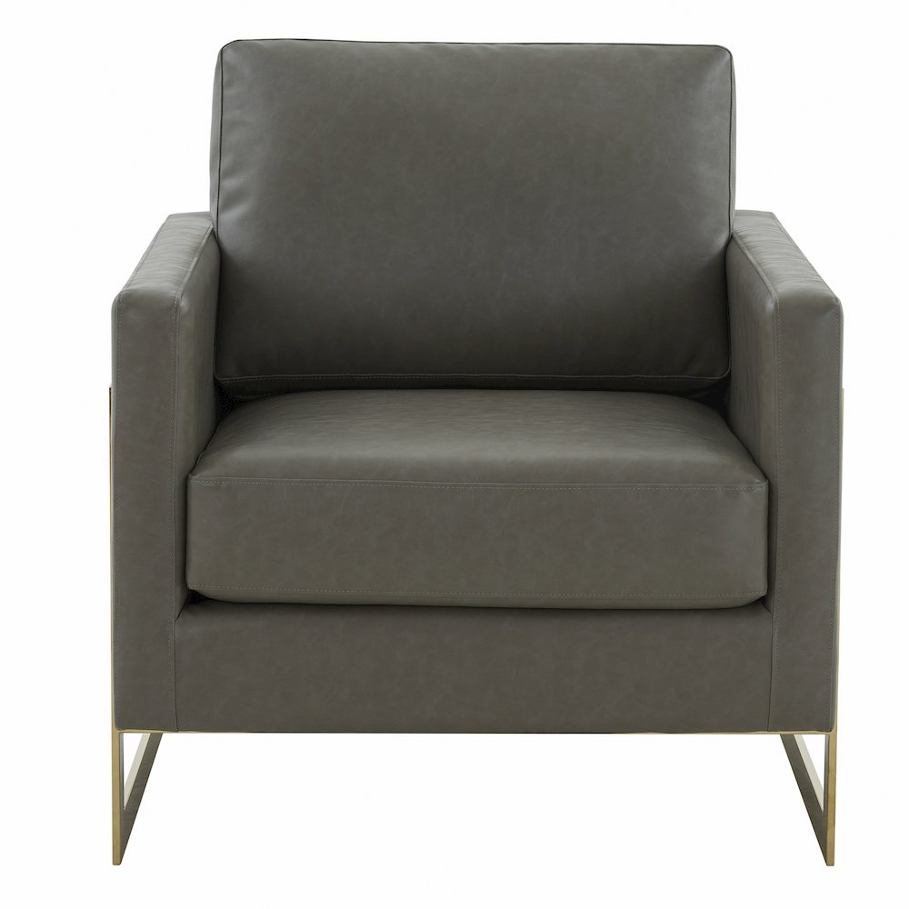 Lincoln Leather Accent Armchair With Gold Frame. Picture 5