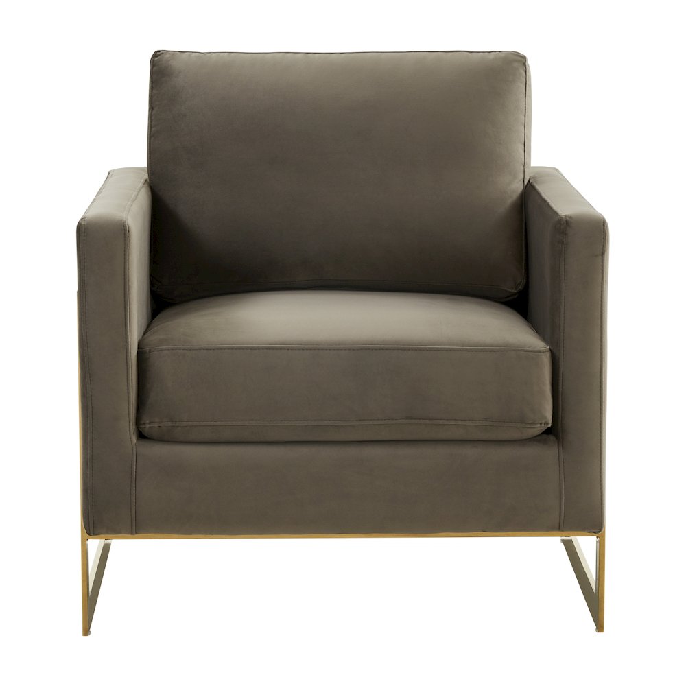 Lincoln Velvet Accent Armchair With Gold Frame. Picture 4