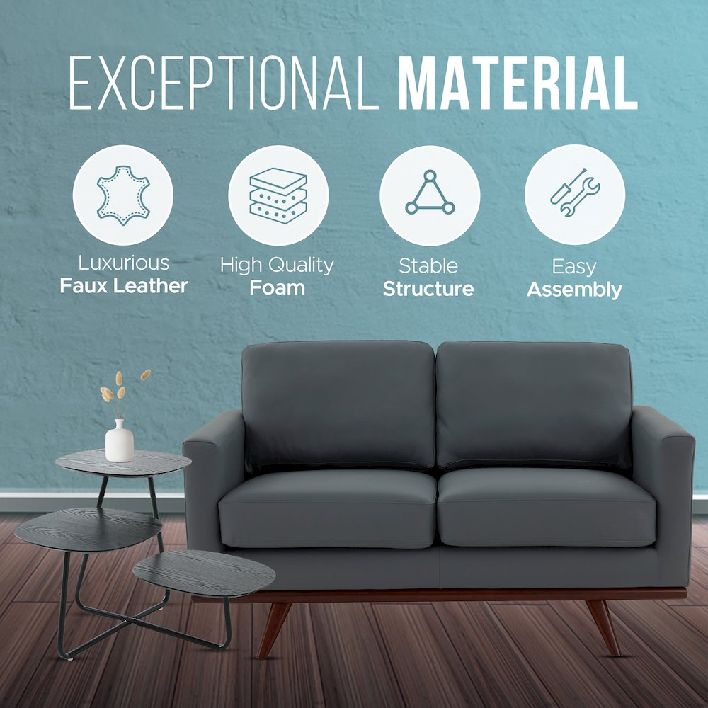 Chester Modern Leather Loveseat With Birch Wood Base. Picture 4