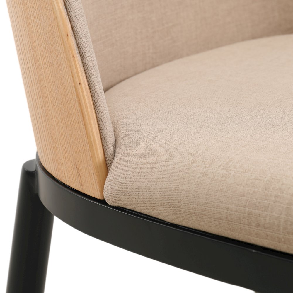 Tule Mid-Century Modern Dining Side Chair Set of 2. Picture 12