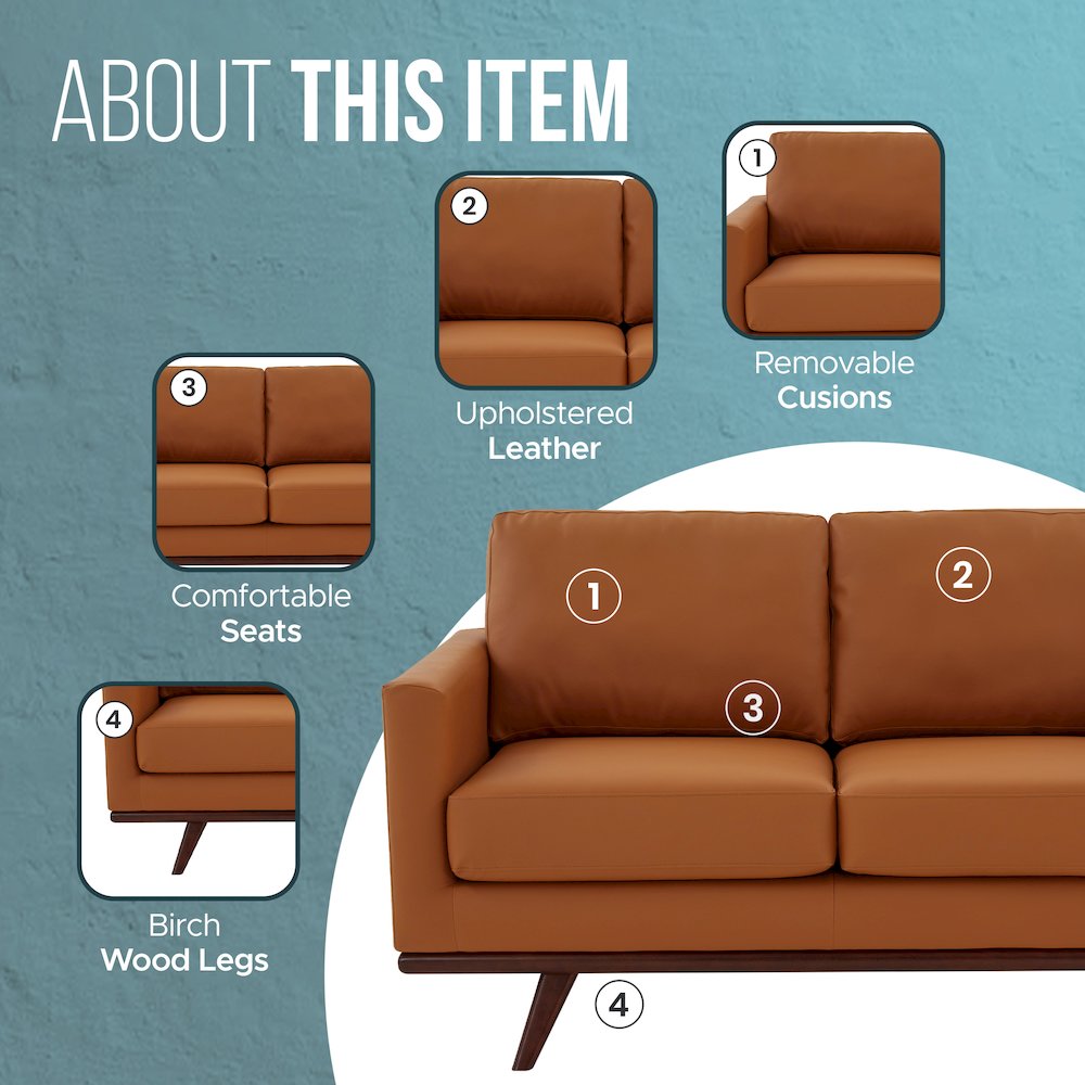 Chester Modern Leather Loveseat With Birch Wood Base. Picture 6