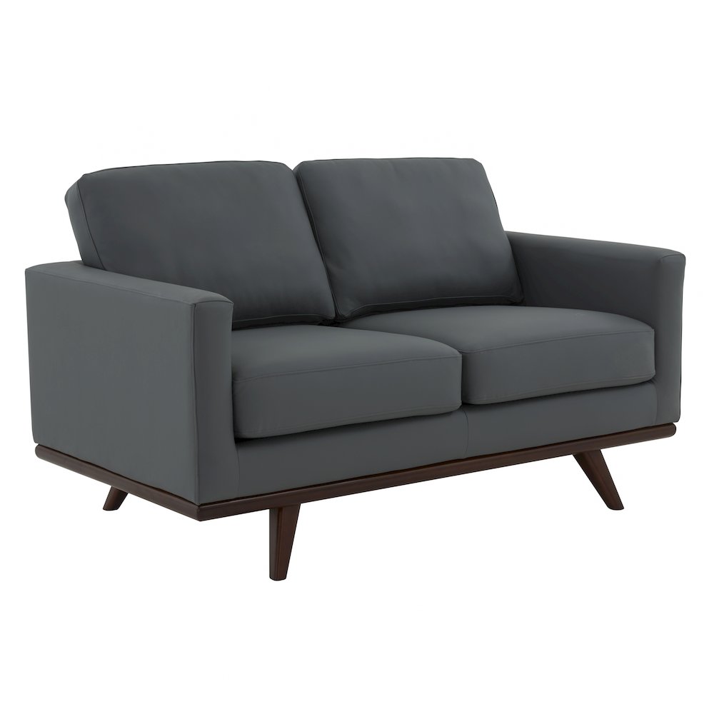 Chester Modern Leather Loveseat With Birch Wood Base. Picture 1