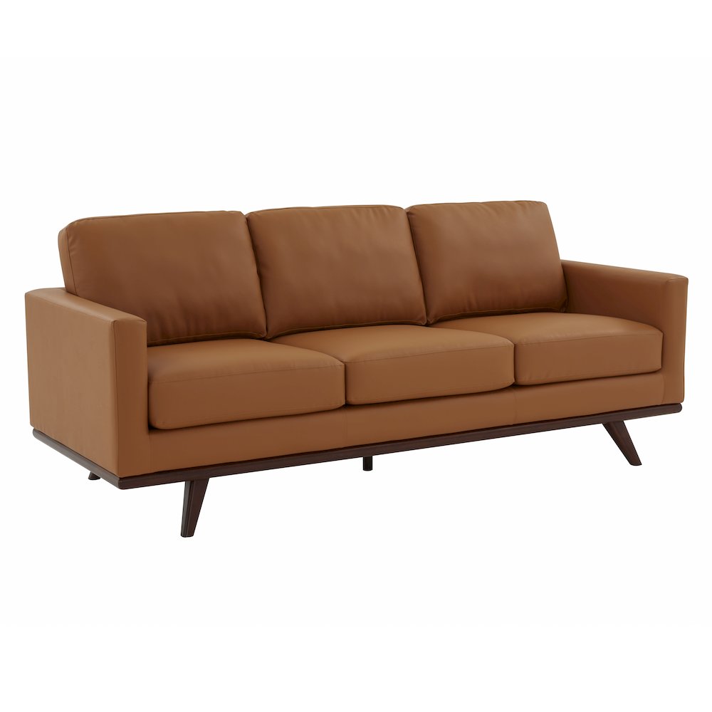 Chester Modern Leather Sofa With Birch Wood Base. Picture 1