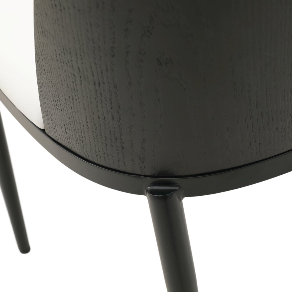 Tule Mid-Century Modern Dining Side Chair Set of 4. Picture 11