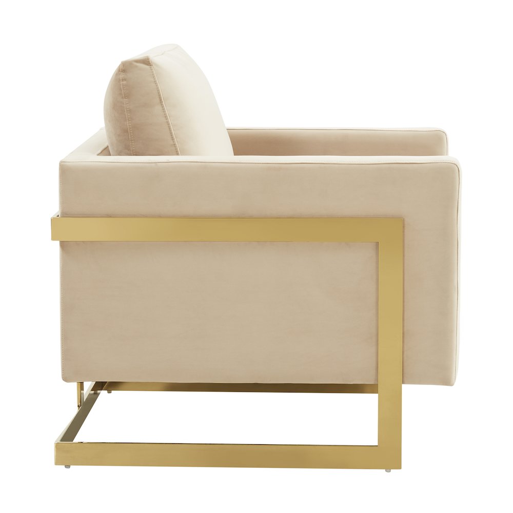 Lincoln Velvet Accent Armchair With Gold Frame. Picture 7