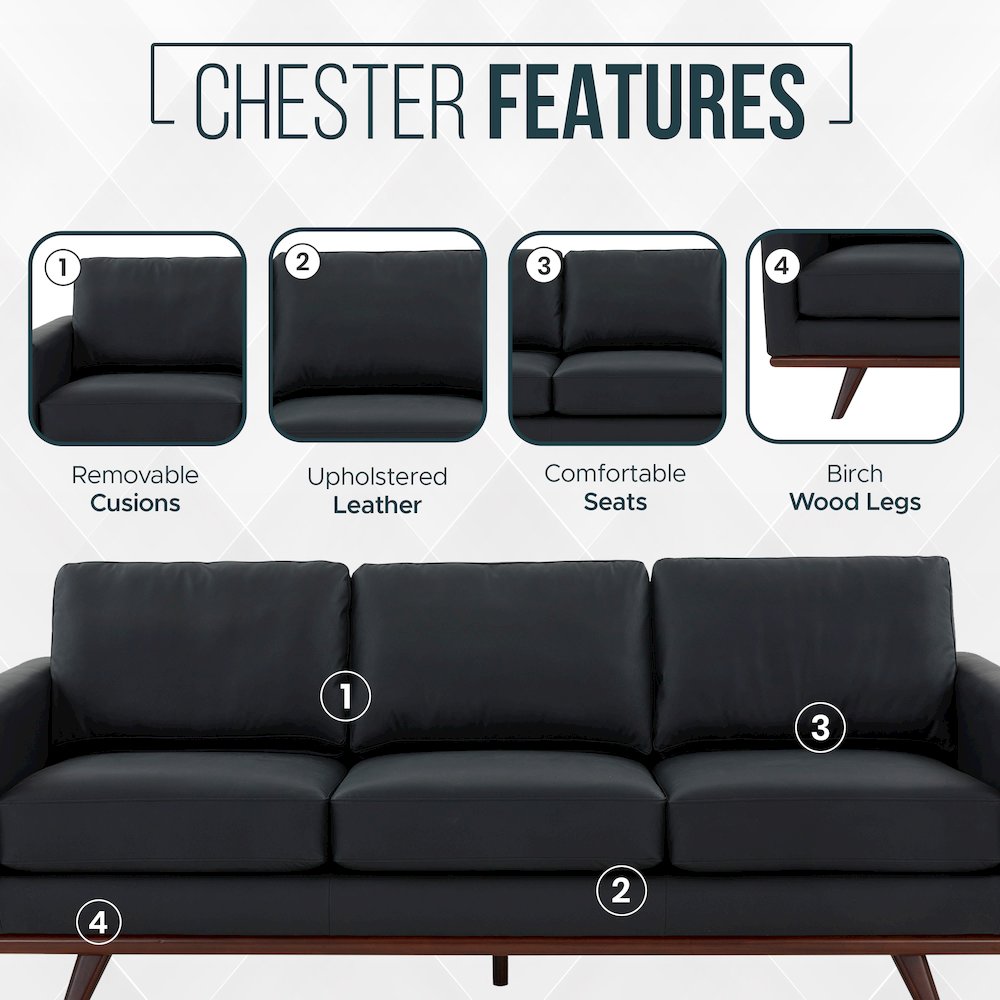 Chester Modern Leather Sofa With Birch Wood Base. Picture 6
