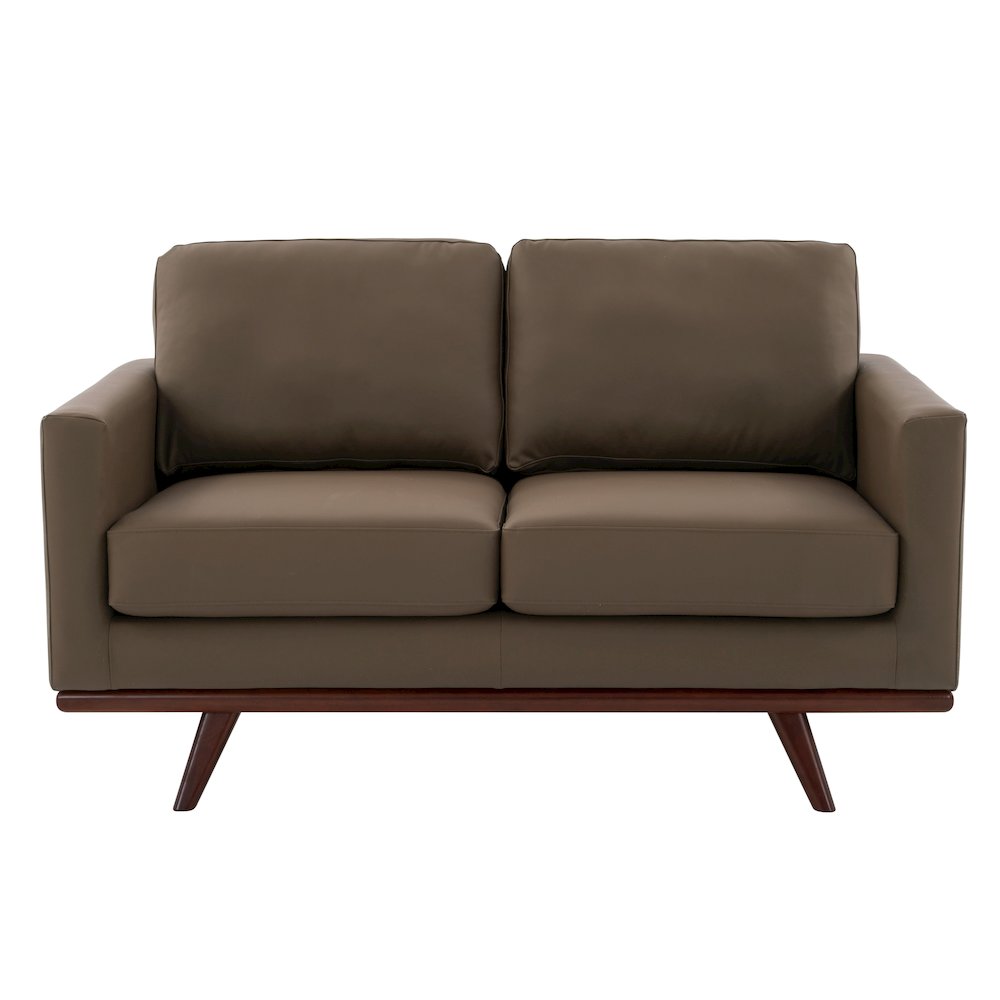 Chester Modern Faux Leather Loveseat in Taupe Leather. Picture 7