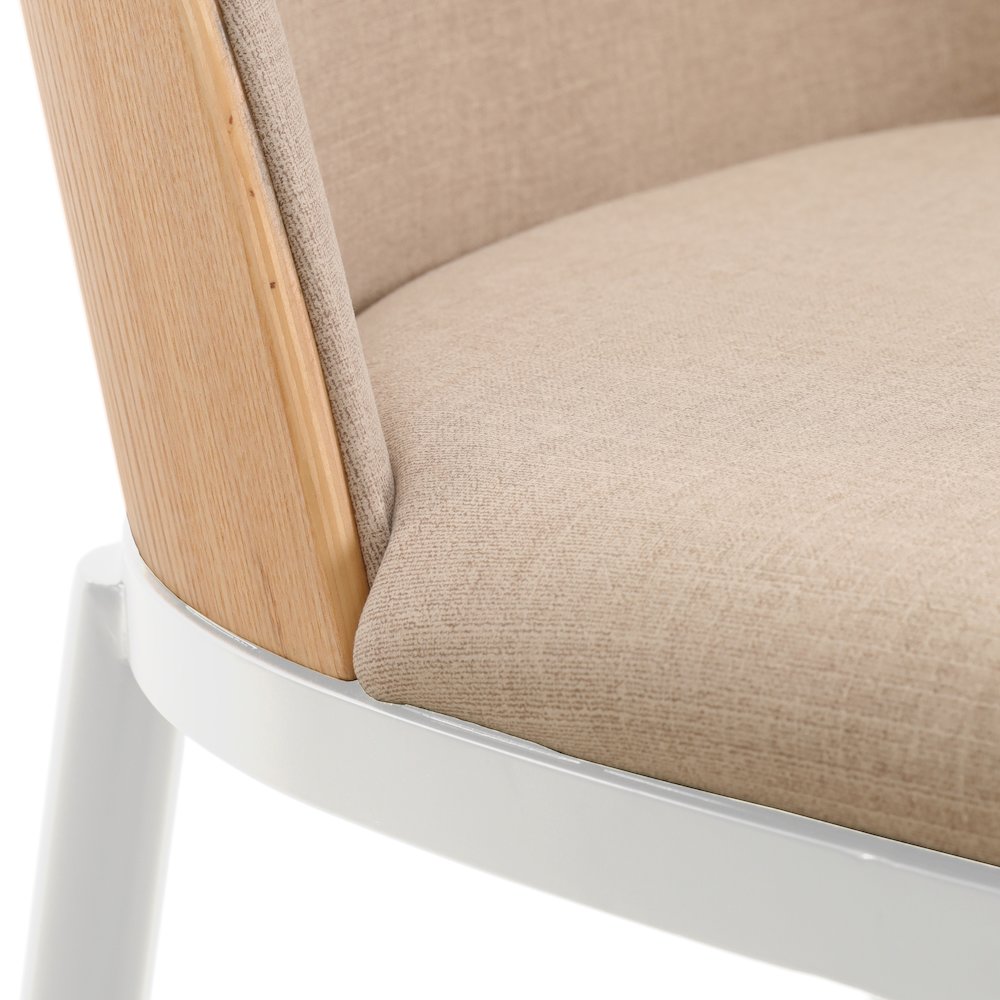 Tule Mid-Century Modern Dining Side Chair Set of 2. Picture 10