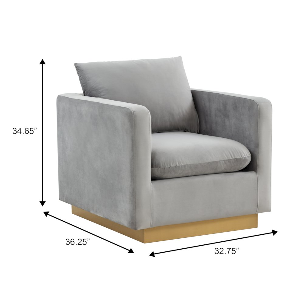 Nervo Velvet Accent Armchair With Gold Frame. Picture 1