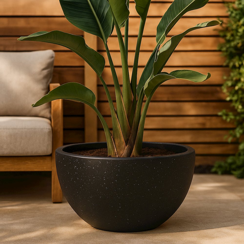 Iris Fiberstone Planter in Black 12 Dia. Picture 1