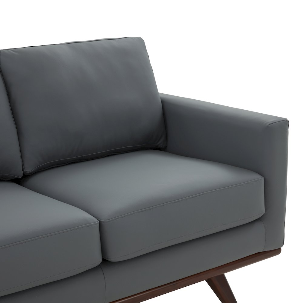 Chester Modern Leather Sofa With Birch Wood Base. Picture 12