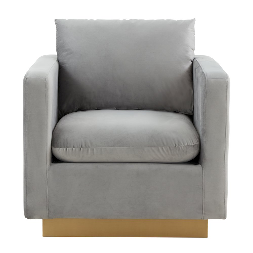Nervo Velvet Accent Armchair With Gold Frame. Picture 4