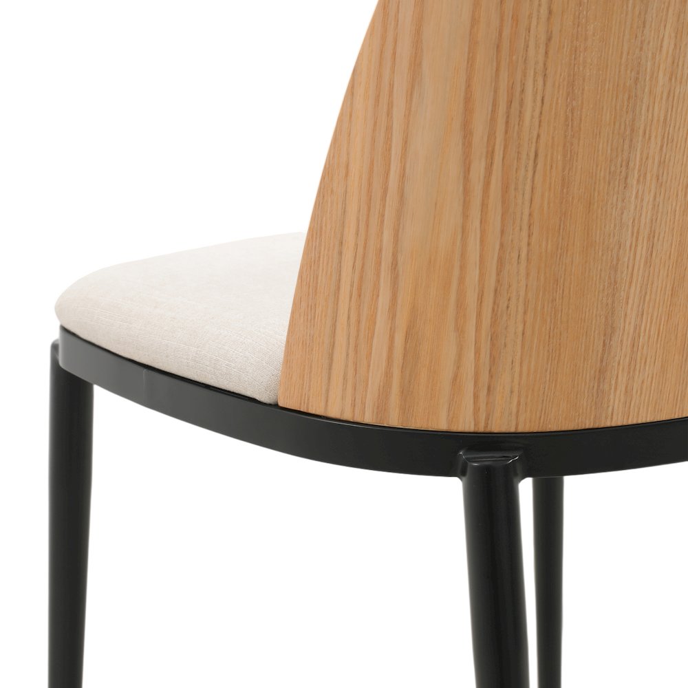 Tule Mid-Century Modern Dining Side Chair. Picture 18