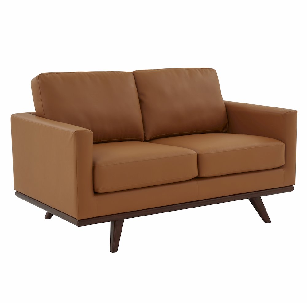 Chester Modern Leather Loveseat With Birch Wood Base. Picture 1