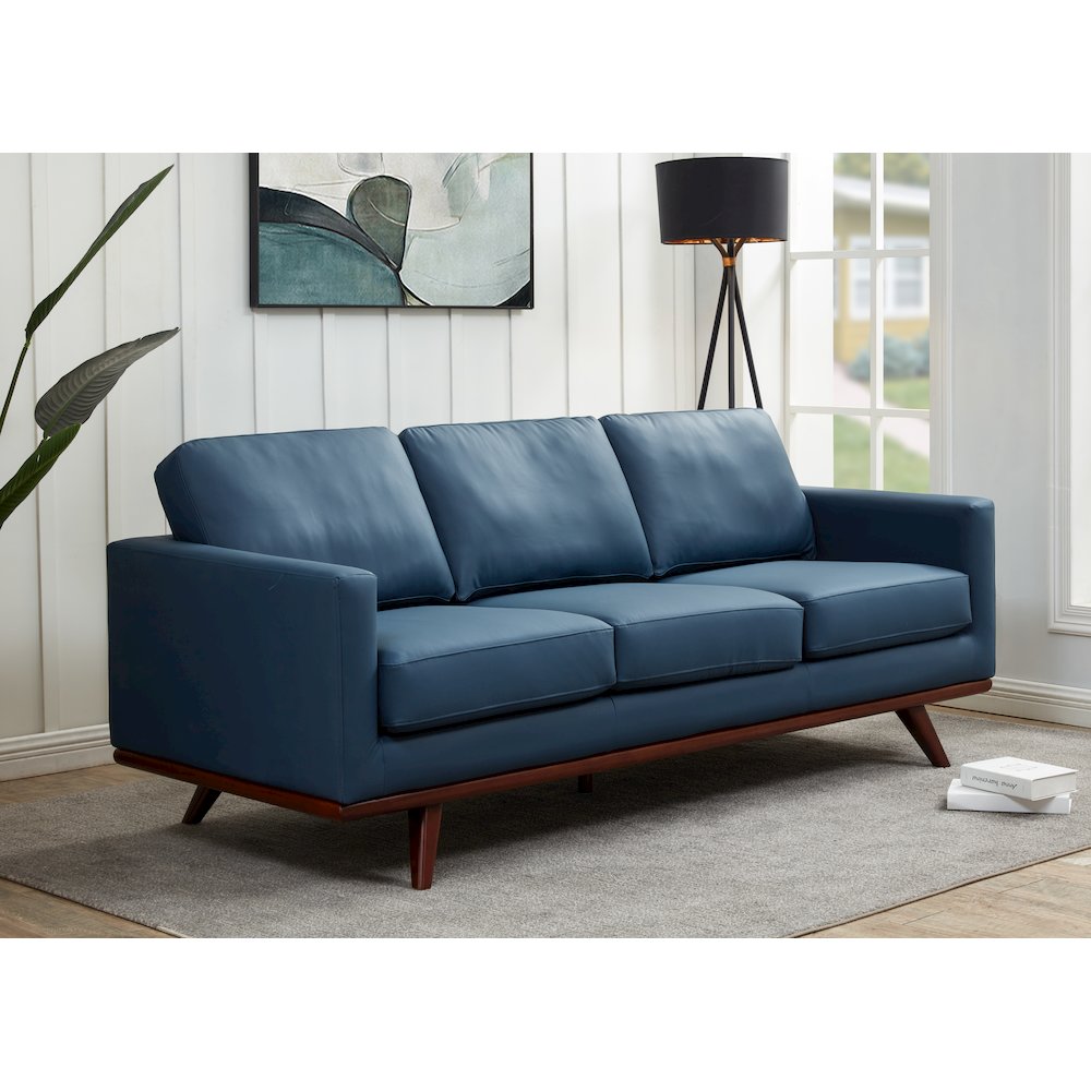 Chester Modern Leather Sofa With Birch Wood Base. Picture 7