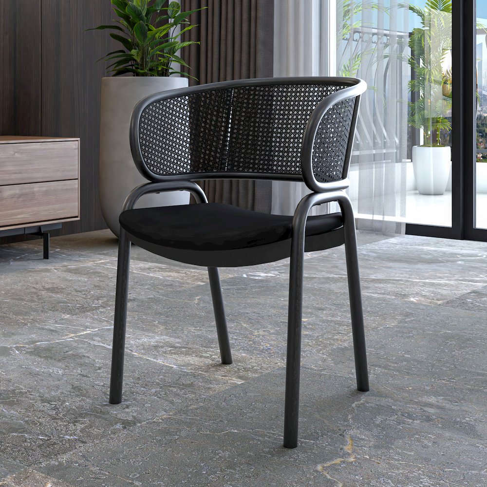 Ervilla Dining Armchair. Picture 19