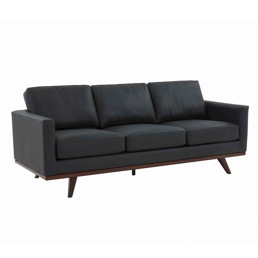 Chester Modern Leather Sofa With Birch Wood Base. Picture 1