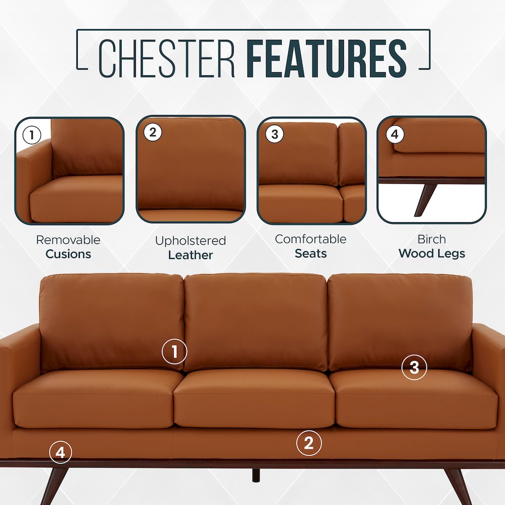 Chester Modern Leather Sofa With Birch Wood Base. Picture 6