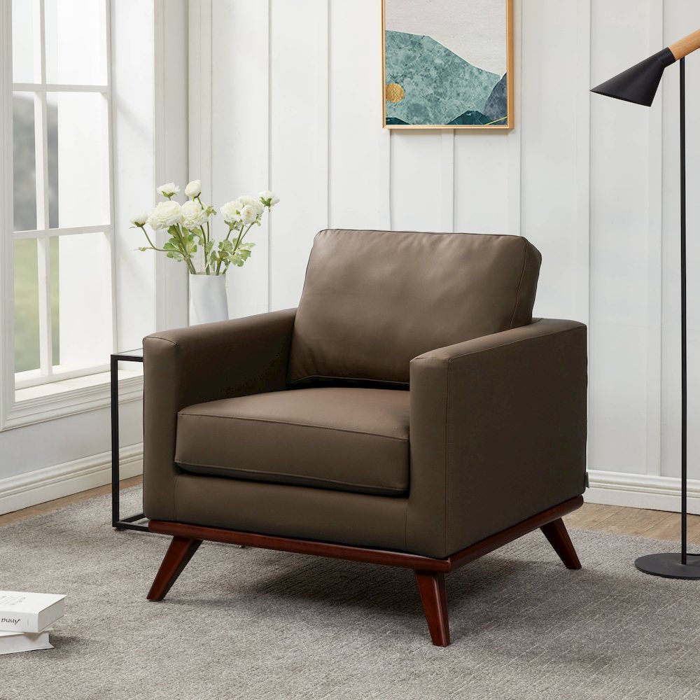 Chester Modern Faux Leather Accent Arm Chair in Taupe Leather. Picture 3