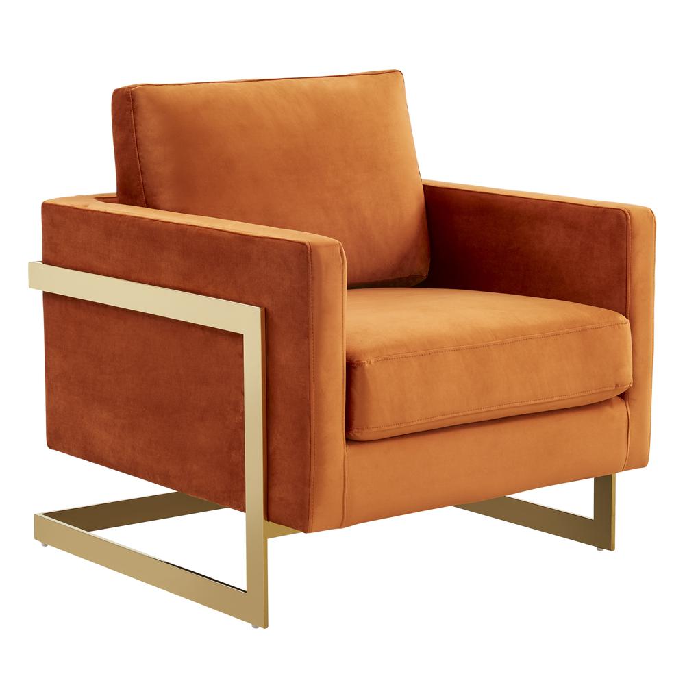 Velvet Accent Armchair With Gold Frame. Picture 1