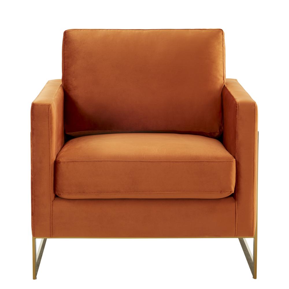 Velvet Accent Armchair With Gold Frame. Picture 2
