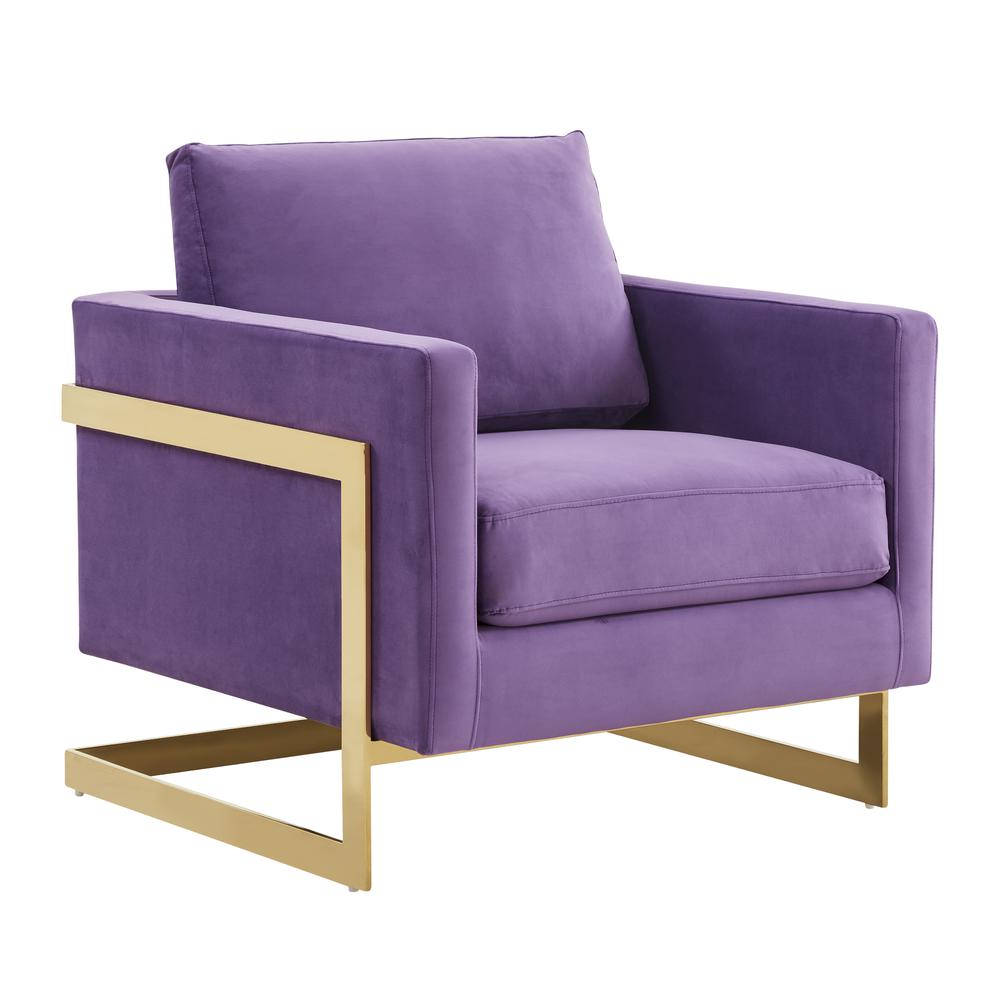 Velvet Accent Armchair With Gold Frame. Picture 1