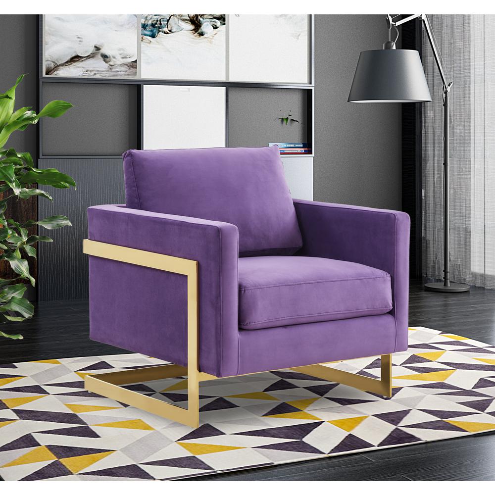 Velvet Accent Armchair With Gold Frame. Picture 7
