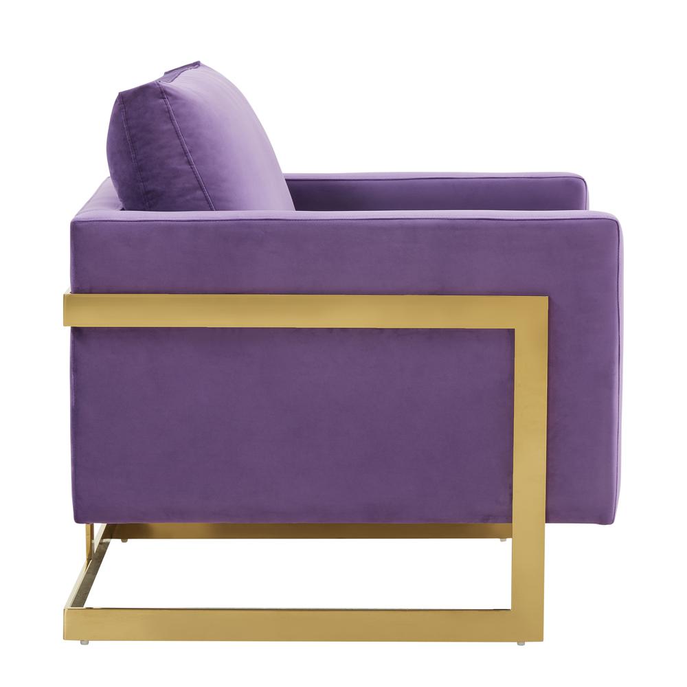 Velvet Accent Armchair With Gold Frame. Picture 3