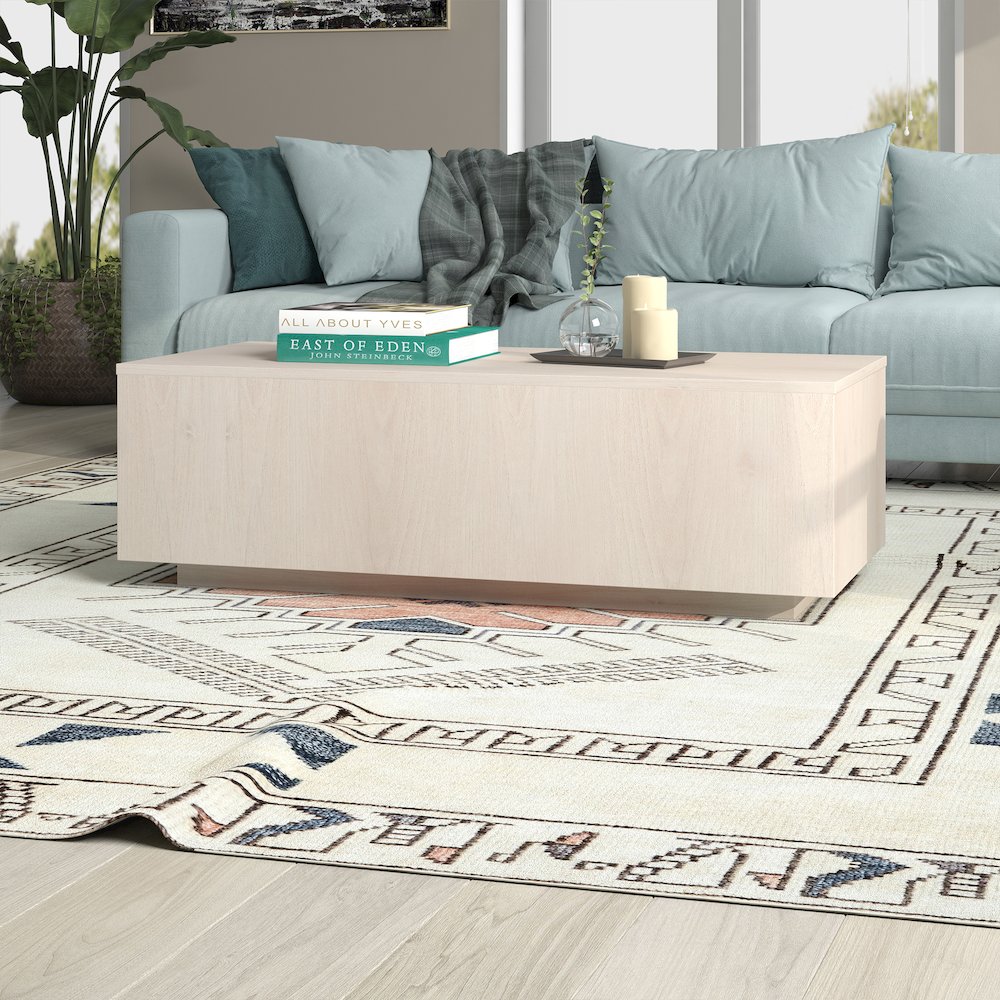 Paxton 48" Wide Rectangular Coffee Table in Alder White. Picture 4