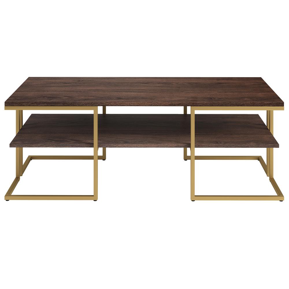 Pike 45" Wide Rectangular Coffee Table in Brass/Alder Brown. Picture 4