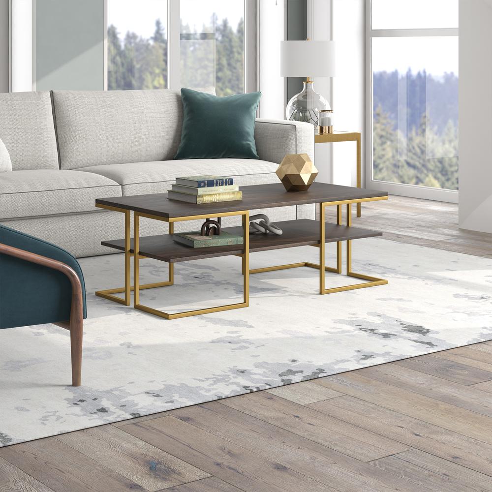 Pike 45" Wide Rectangular Coffee Table in Brass/Alder Brown. Picture 5