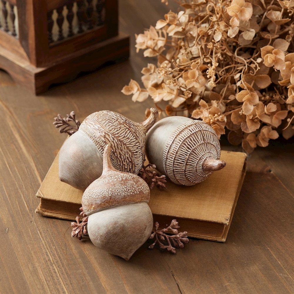 White Washed Etched Acorn (Set of 6). Picture 6