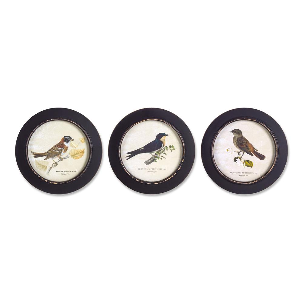 Framed Bird Print (Set of 3) 9.5"D MDF. Picture 1