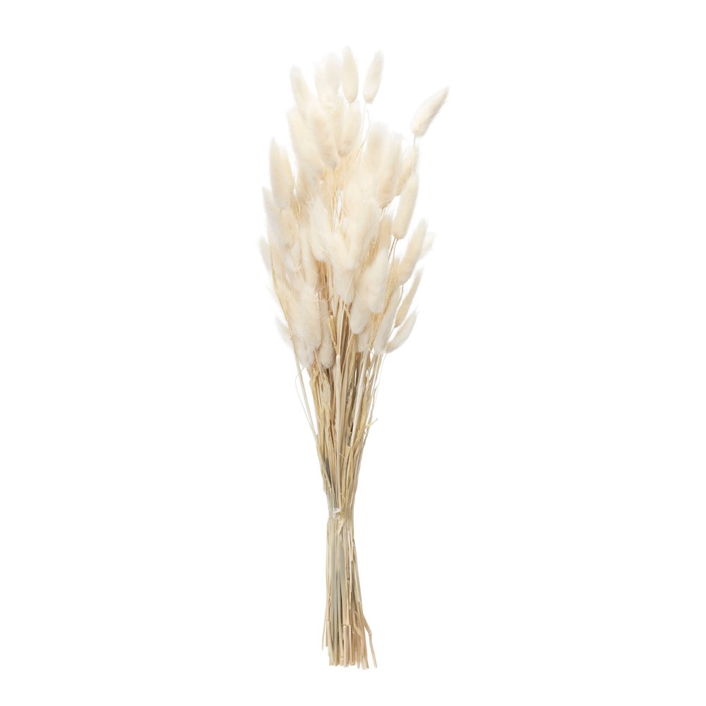 Bunny Tail Bundle (Set of 2). Picture 1