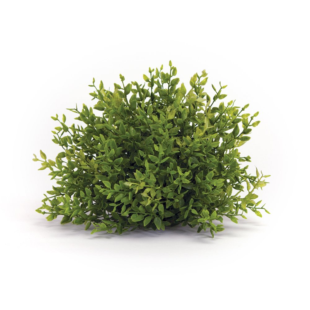 Mini Leaf Half Orb (Set of 6) 7"D Plastic. Picture 3