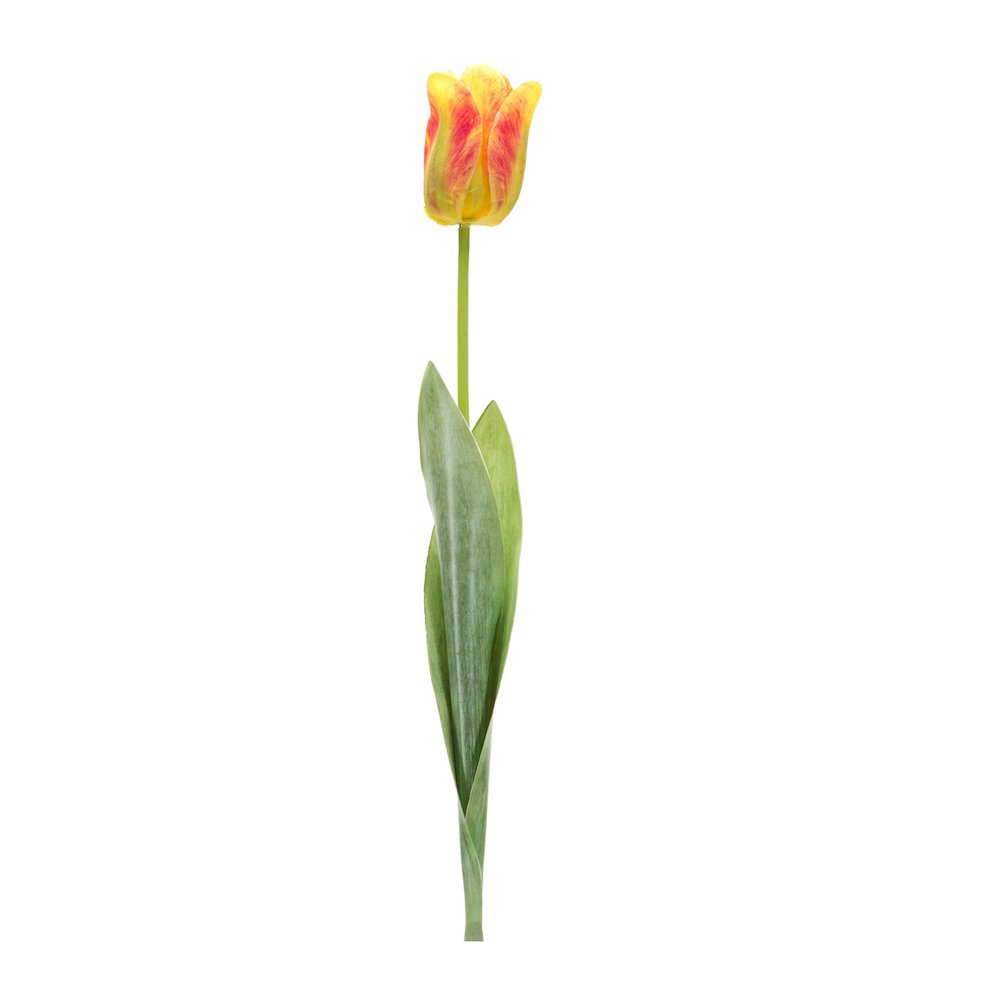 Tulip Stem (Set of 6) 27"H Polyester/Plastic. Picture 1
