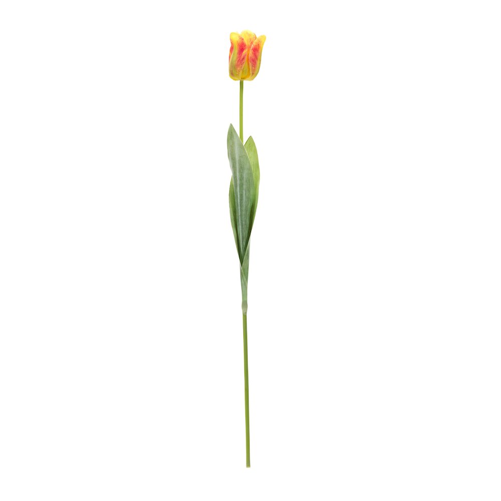 Tulip Stem (Set of 6) 27"H Polyester/Plastic. Picture 2